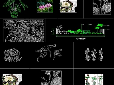 植物CAD图库 施工图