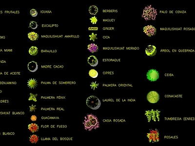 国外艺术植物平面 施工图