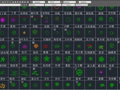 最全植物cad大全 施工图