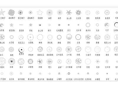 平面树表植物 cad图库 施工图