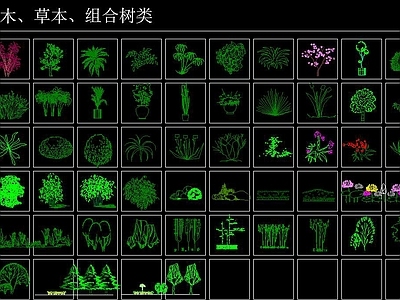 植物CAD图例大全 施工图