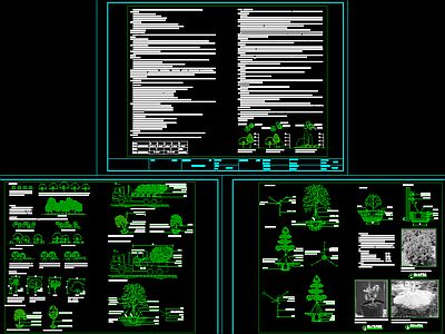 植物设计说明 植物种植说明 施工图