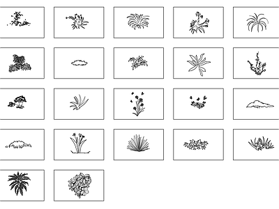 植物合集 草丛枝 景观素材 平立面 施工图