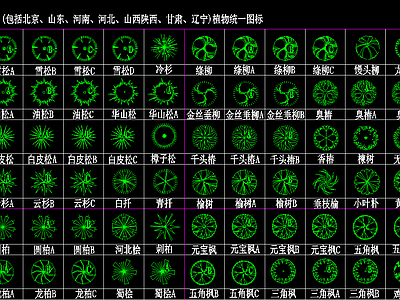 园林图块合集 植物 车