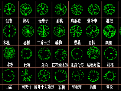 植物 平面 立面 图块