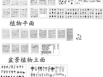 园林景观 植物图块