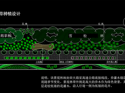 景观林带种植设计 施工图