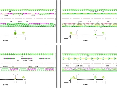 道路绿化标段及横断面图纸