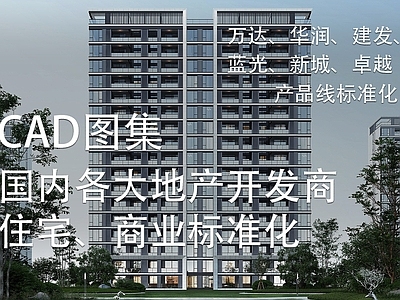 国内各大地产开发商住宅商业标准化CAD图集 施工图