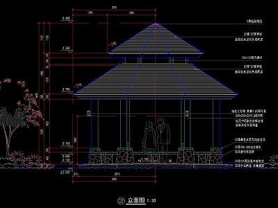 东南亚双层木板顶景观亭 施工图