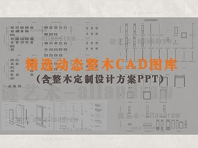 现代全屋定制家装整体柜图库 施工图