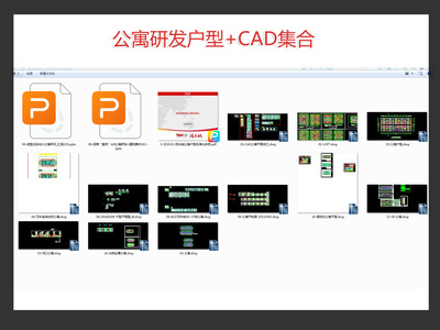 公寓研发加CAD户型集合 施工图