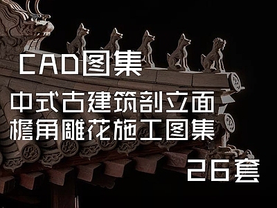 中式古建筑剖立面檐角雕花详图 施工图