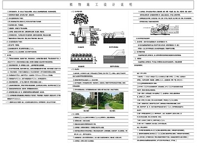 公园园林植物施工设计说明 图库