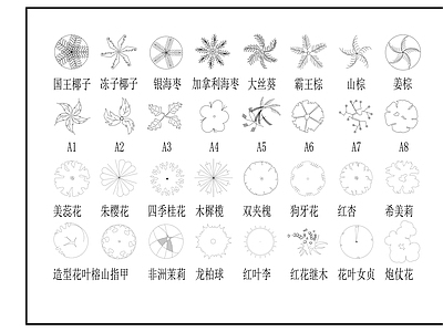 植物平立面 图库