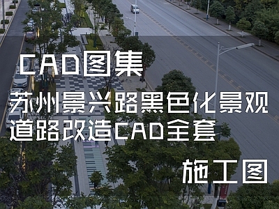 苏州景兴路黑色化景观道路改造  施工图