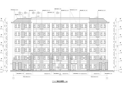 新中式养老宿舍楼建筑 施工图 疗养院