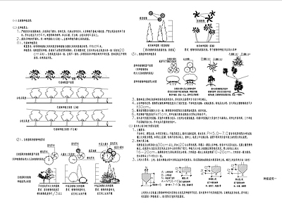 绿化设计说明 图库
