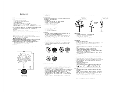 绿化设计说明