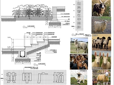 广场景观详图 施工图