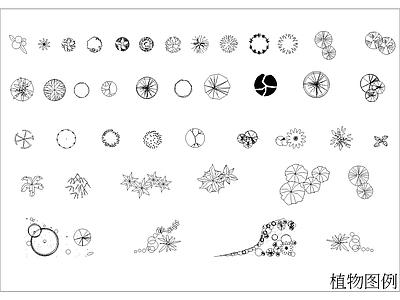 植物素材图库