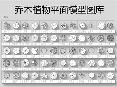 乔木植物图库 施工图