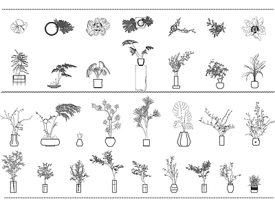 现代绿植盆栽水培图库