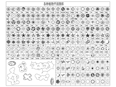 各种绿植 图库