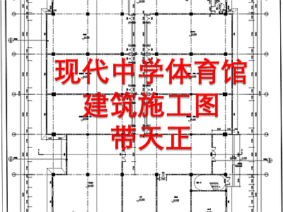 现代中学体育馆天正建筑 施工图