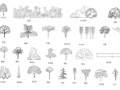 景观植物立面 图库