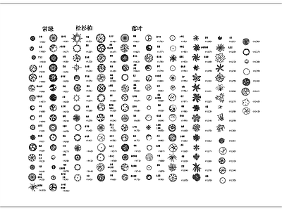 常绿植物落叶植物图例