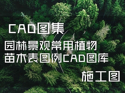 园林景观常用植物苗木表图例 图库