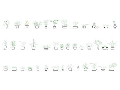 现代植物盆栽 草绿植图库