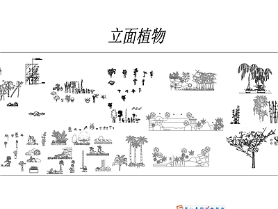 室内外植物立面图 图库