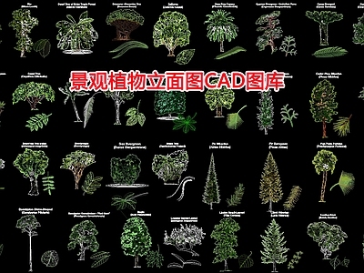 景观植物立面图 图库