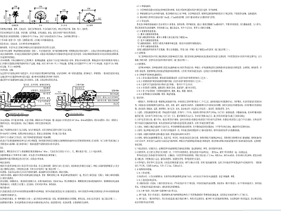 绿化设计说明 图库