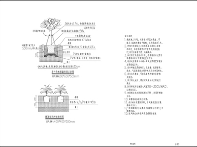 园林景观绿化种植图例图框 图库