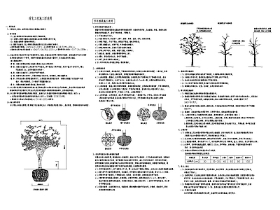 绿化工程施工图说明 施工图