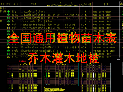 苗木表 施工图