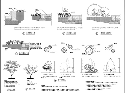 绿化设计说明及规范 施工图