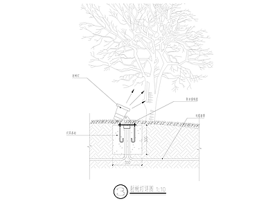 射树灯基础大样 施工图
