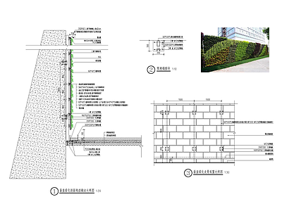 垂直绿化 施工图