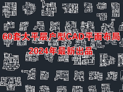 60套大平层户型平面布局方案 施工图