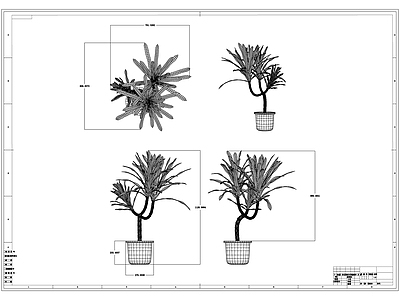 植物盆栽线稿图设计 施工图