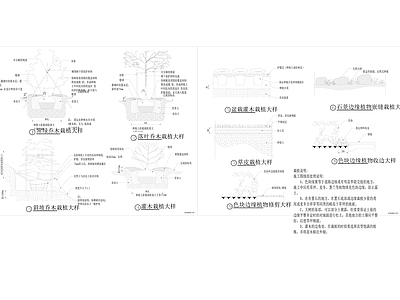 园林景观植物种植大样 施工图
