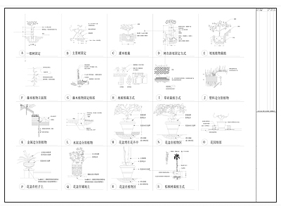园林景观种植大样图 施工图
