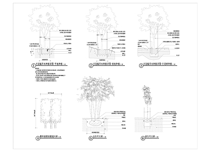 园林景观种植大样图 施工图