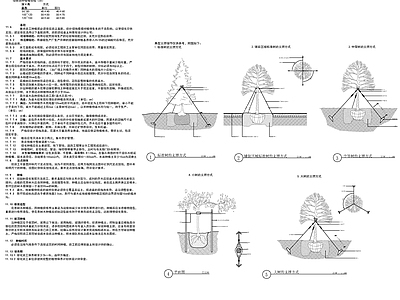 园林设计说明 施工图