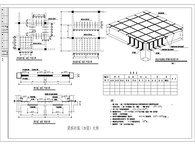 梁板补强 加固 大样 施工图