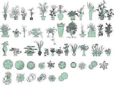 植物平立面图库 施工图